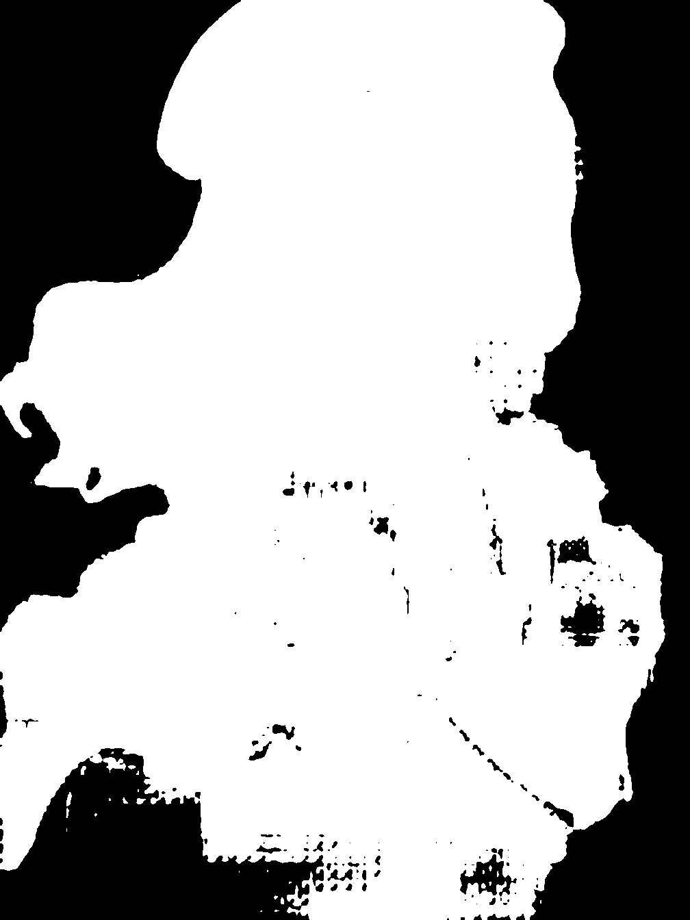 segment_anything_result_1_6